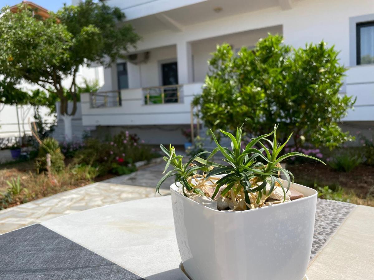 Villa Soni Oruci คซามิล ภายนอก รูปภาพ